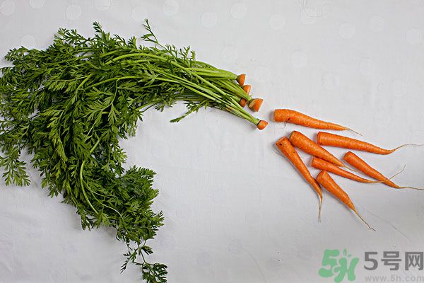 吃西瓜能防曬嗎？吃巧克力能紫外線嗎？