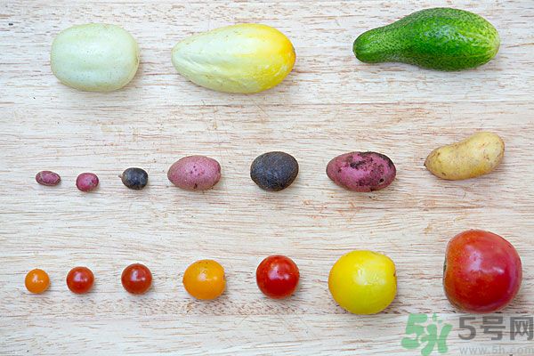 吃黃瓜對身體有什么好處？每天吃黃瓜的好處有哪些