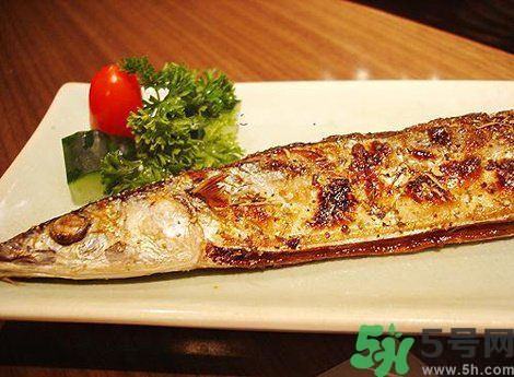 魚身上最有營養(yǎng)的地方是哪里？魚的功效與作用？