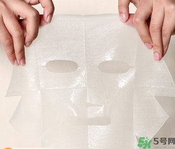 木瓜可以煮粥嗎？木瓜可以煮什么？