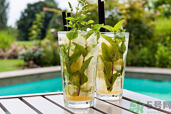 薄荷曬干泡茶有什么好處？薄荷曬干泡水的功效