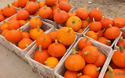 南瓜里面長霉了能吃嗎？長霉的南瓜可以吃嗎？