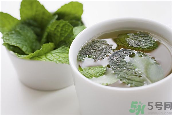 薄荷能美白嗎？薄荷的功效與作用