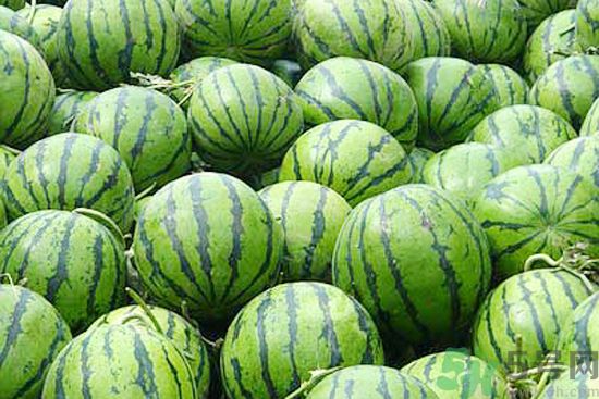 西瓜怎么挑熟的甜的？西瓜的儲存方法？