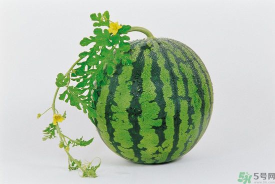 西瓜怎么挑熟的甜的？西瓜的儲(chǔ)存方法？