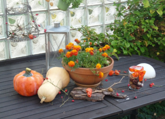 南瓜吃了皮膚會變黃嗎？吃南瓜對皮膚有什么影響？