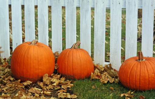 南瓜吃了會(huì)胃酸嗎？南瓜吃了胃不舒服怎么回事？