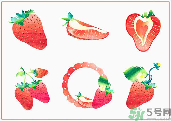 玉川和斯利安哪個好？葉酸片什么牌子最好？