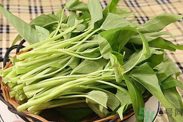 空心菜是菠菜嗎？空心菜是不是菠菜？