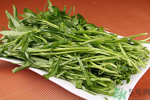 空心菜是菠菜嗎？空心菜是不是菠菜？