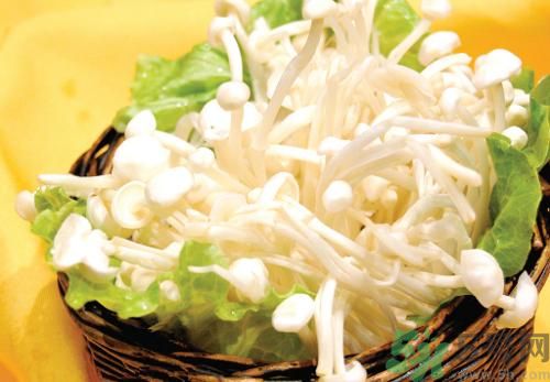 金針菇是涼性還是熱性?金針菇是涼性的嗎? 金針菇是涼性還是熱性?金針菇是涼性的嗎?