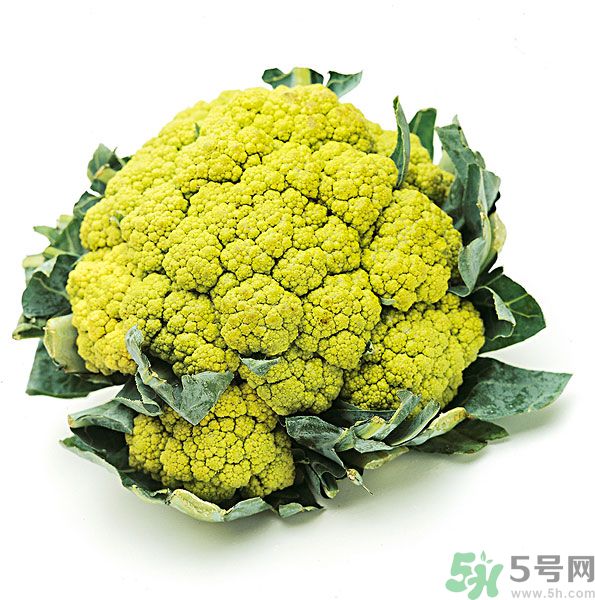 玉川和斯利安哪個好？葉酸片什么牌子最好？