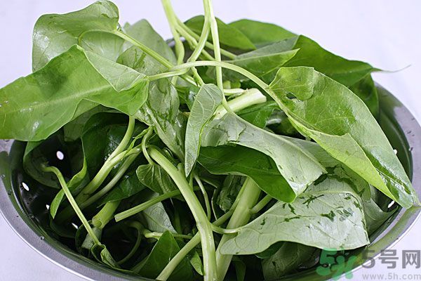 空心菜是菠菜嗎？空心菜是不是菠菜？