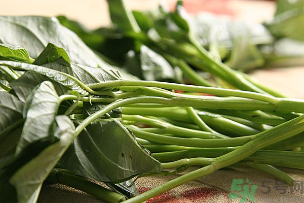 空心菜是菠菜嗎？空心菜是不是菠菜？