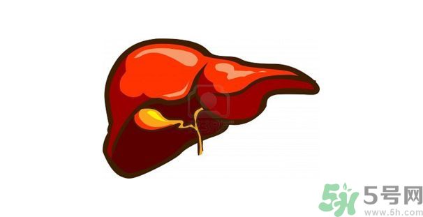 在外面吃飯會(huì)得乙肝嗎？在食堂吃飯會(huì)得乙肝嗎？