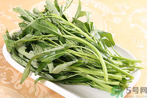 空心菜是菠菜嗎？空心菜是不是菠菜？