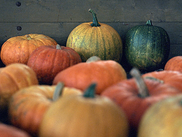 臉上長痘能吃南瓜嗎？臉上長痘吃南瓜好不好？