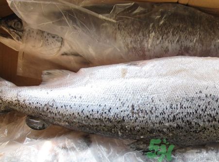 三文魚可以和胡蘿卜一起吃嗎? 三文魚可以和胡蘿卜一起吃嗎?