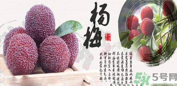 吃楊梅可以防止中暑嗎？中暑可以吃楊梅嗎？