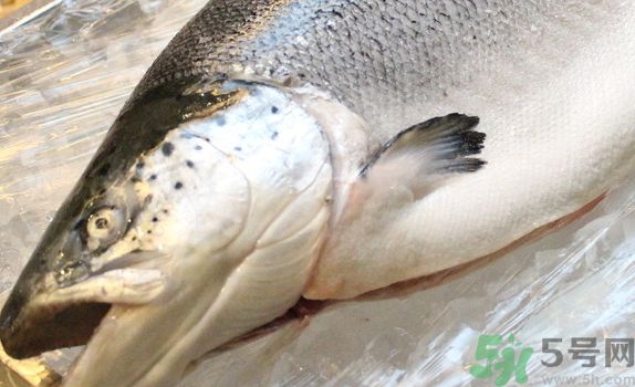 三文魚(yú)可以和雞蛋一起吃嗎?三文魚(yú)能和雞蛋同吃嗎? 三文魚(yú)可以和雞蛋一起吃嗎?三文魚(yú)能和雞蛋同吃嗎?