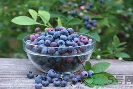 藍(lán)莓是熱性還是涼性？藍(lán)莓是涼性嗎？