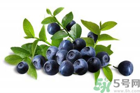 藍莓是熱性還是涼性？藍莓是涼性嗎？