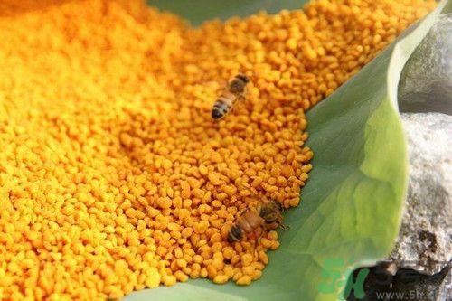 荷花粉怎么吃?荷花粉的功效與作用 荷花粉怎么吃?荷花粉的功效與作用