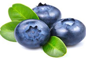 什么是藍(lán)莓李果？藍(lán)莓李果和藍(lán)莓的區(qū)別？