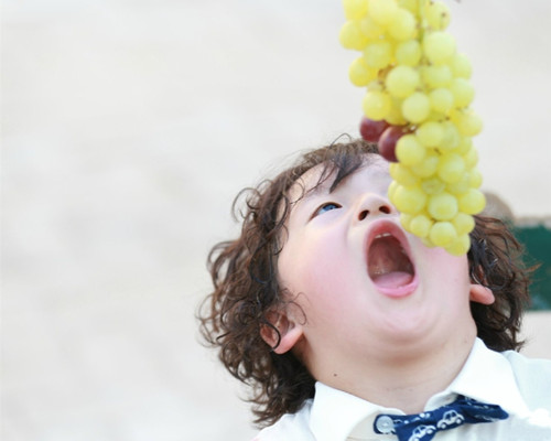 葡萄沒(méi)熟能吃嗎?葡萄沒(méi)熟有毒嗎 葡萄沒(méi)熟能吃嗎?葡萄沒(méi)熟有毒嗎