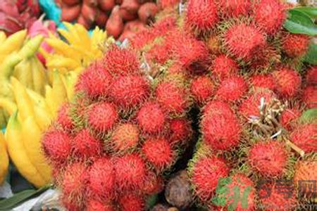 紅毛丹的殼可以吃嗎？紅毛丹的皮可以吃嗎？