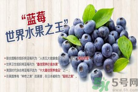 衣服上面染上了藍(lán)莓汁怎么辦？藍(lán)莓漬怎么清洗？