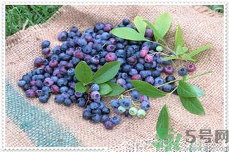 藍莓果醬怎么做好吃？藍莓果醬的做法