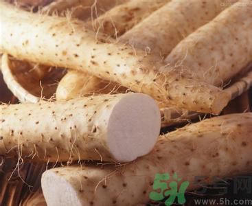 山藥和什么不能一起吃?山藥和什么相克 山藥和什么不能一起吃?山藥和什么相克