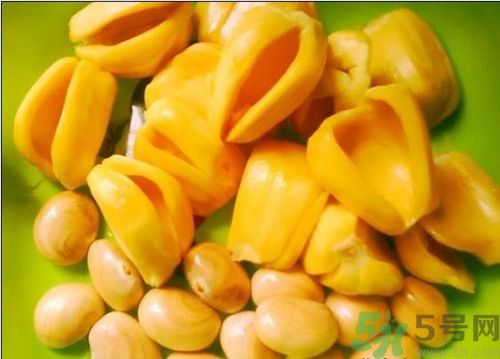 菠蘿蜜怎么削皮?菠蘿蜜怎么吃 菠蘿蜜怎么削皮?菠蘿蜜怎么吃