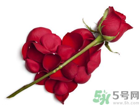 父親節(jié)送什么花好？父親節(jié)送什么花？