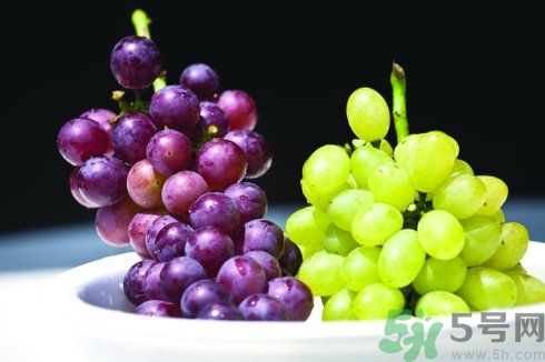 提子變軟還能吃嗎?提子變軟是怎么回事 提子變軟還能吃嗎?提子變軟是怎么回事