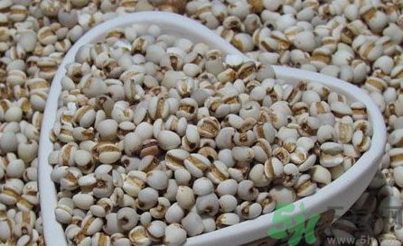 薏米是大粒的好還是小粒的好? 薏米是大粒的好還是小粒的好?