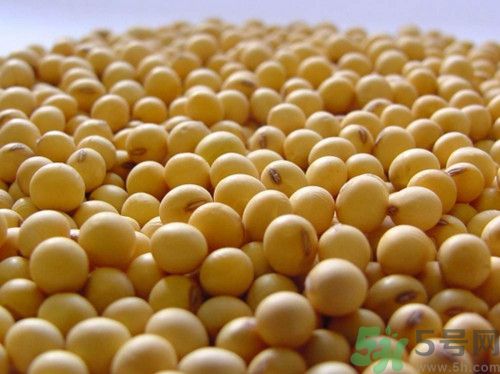 芝麻和黃豆可以一起打漿嗎?芝麻和黃豆一起打漿有什么功效 芝麻和黃豆可以一起打漿嗎?芝麻和黃豆一起打漿有什么功效