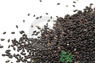 芝麻能生吃嗎?芝麻生吃有什么好處 芝麻能生吃嗎?芝麻生吃有什么好處