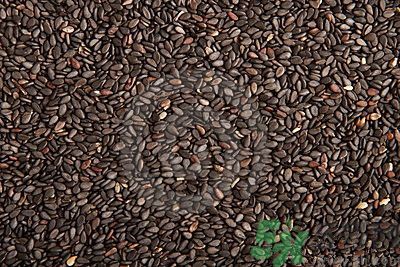 芝麻能生吃嗎?芝麻生吃有什么好處 芝麻能生吃嗎?芝麻生吃有什么好處