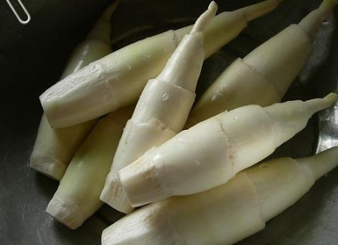 茭白老了還能吃嗎?茭白老了吃會怎么樣 茭白老了還能吃嗎?茭白老了吃會怎么樣