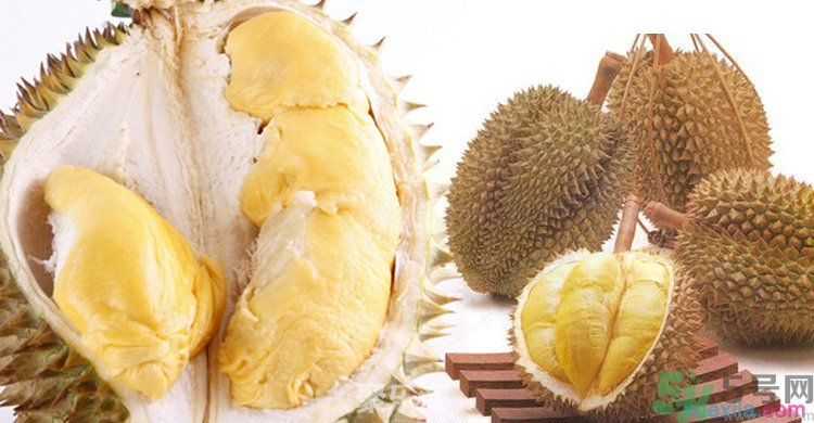 榴蓮沒開口可以吃嗎?榴蓮沒開口怎么打開 榴蓮沒開口可以吃嗎?榴蓮沒開口怎么打開