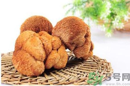  哺乳期可以吃猴頭菇嗎？產(chǎn)婦可以吃猴頭菇嗎？