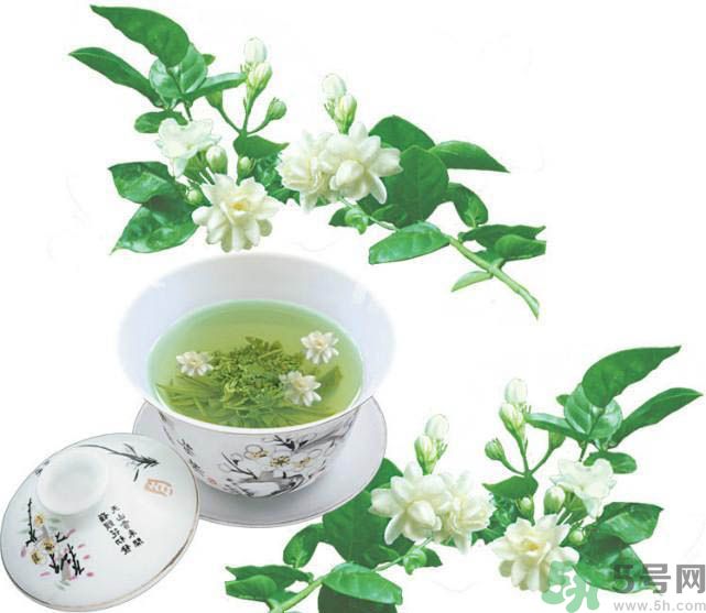 喝茉莉花茶會過敏嗎？喝茉莉花茶過敏了怎么辦？
