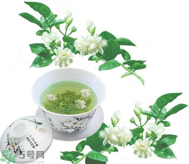 茉莉花茶可以減肥嗎？怎樣喝茉莉花茶可以減肥？