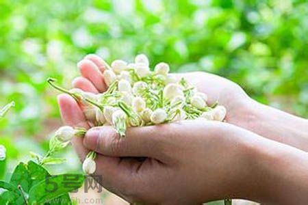 茉莉花茶可以和玫瑰花茶一起喝嗎？茉莉花茶和玫瑰花茶一起泡著喝好嗎？