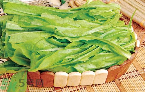 吃油麥菜會(huì)回奶嗎?油麥菜回奶食譜 吃油麥菜會(huì)回奶嗎?油麥菜回奶食譜