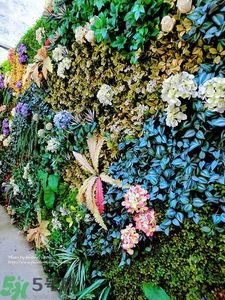 寵愛之名寵愛女孩面膜怎么樣？寵愛女孩礦物云絲面膜好用嗎？