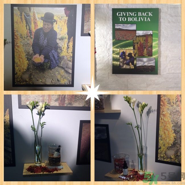 科顏氏藜麥煥膚精華怎么樣？科顏氏藜麥煥膚精華好用嗎