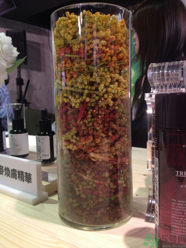 科顏氏藜麥煥膚精華怎么樣？科顏氏藜麥煥膚精華好用嗎